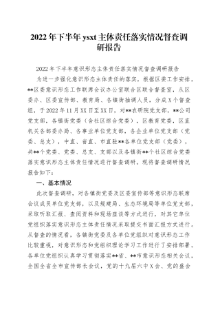 2022年下半年主体责任落实情况督查调研报告