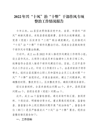 2022年兴“十风”治“十弊”干部作风专项整治工作情况报告