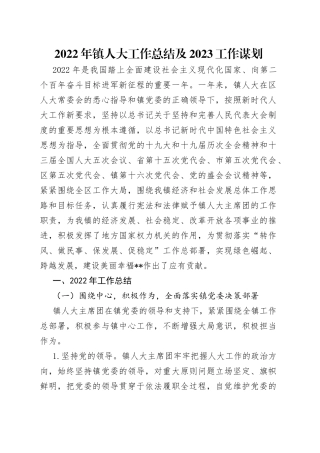 2022年镇人大工作总结及2023工作谋划