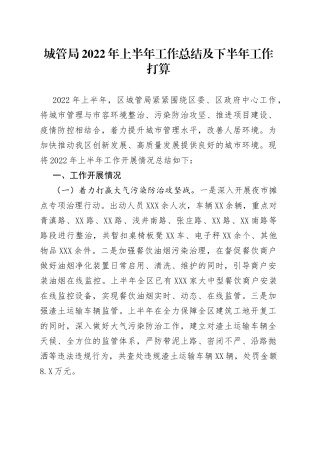 城管局2022年上半年工作总结及下半年工作打算