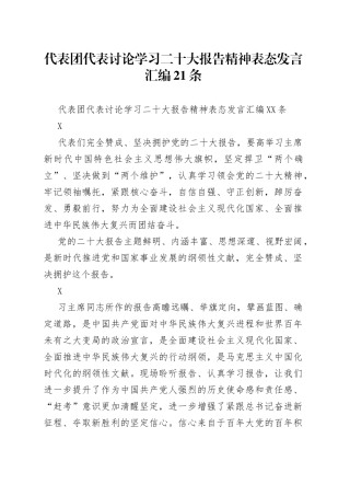 代表团代表讨论学习二十大报告精神表态发言汇编21条