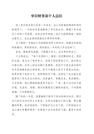 单位财务部个人总结