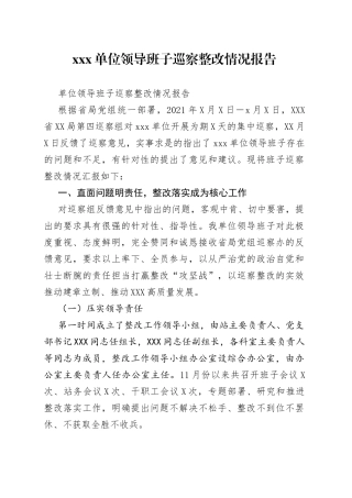 单位领导班子巡察整改情况报告
