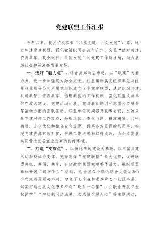 党建联盟工作汇报