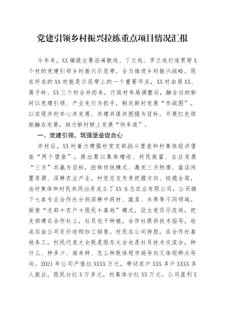 党建引领乡村振兴拉练重点项目情况汇报