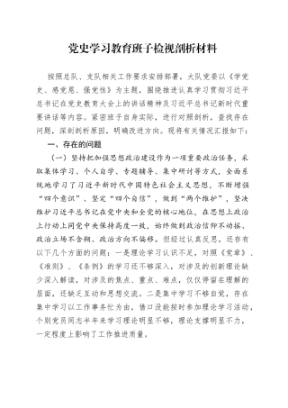 党史学习教育班子检视剖析材料