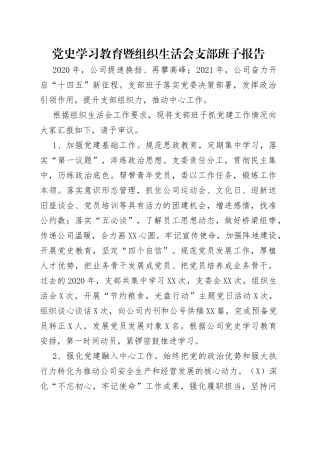 党史学习教育暨组织生活会支部班子报告