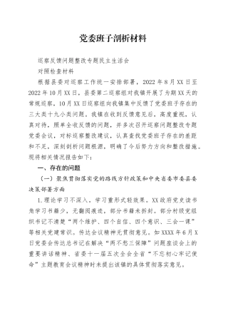 党委班子剖析材料