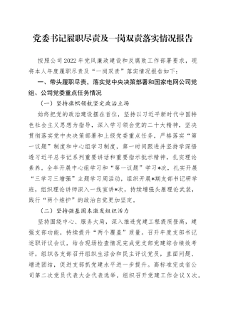 党委书记履职尽责及一岗双责落实情况报告0600
