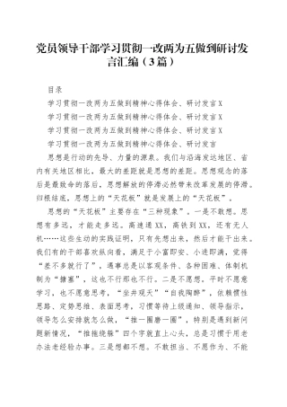 党员领导干部学习贯彻一改两为五做到研讨发言汇编（3篇）