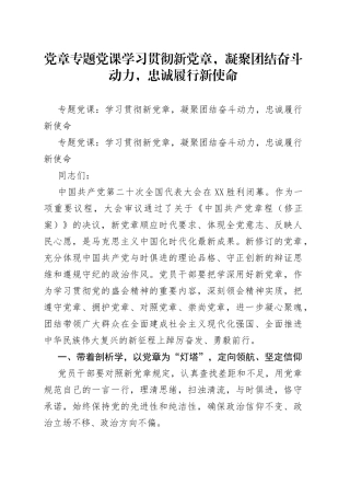 党章专题党课学习贯彻新党章，凝聚团结奋斗动力，忠诚履行新使命