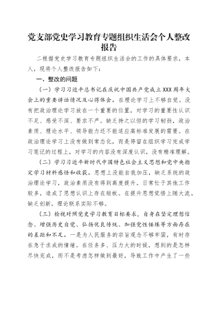 党支部党史学习教育专题组织生活会个人整改报告