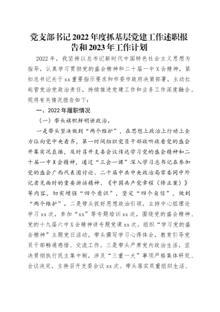 党支部书记2022年度抓基层党建工作述职报告和2023年工作计划