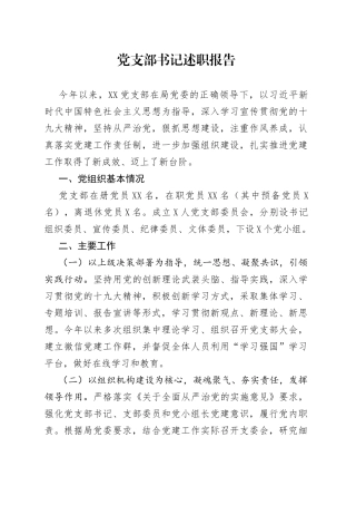 党支部书记述职报告