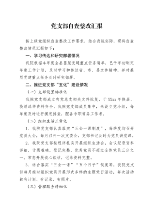党支部自查整改汇报