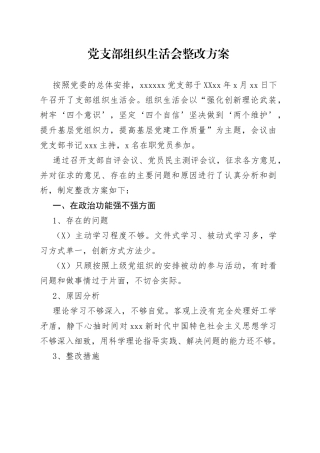 党支部组织生活会整改方案