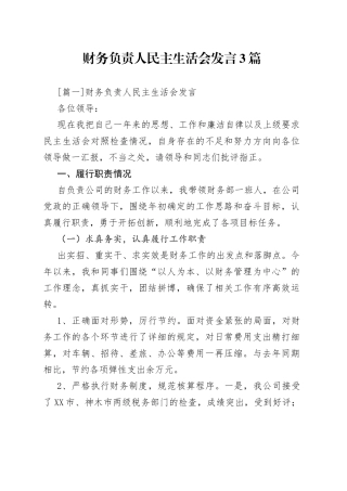 （3篇）财务负责人民主生活会发言—今日公文网752