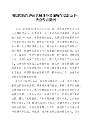 法院院长以普通党员身份参加所在支部民主生活会发言提纲