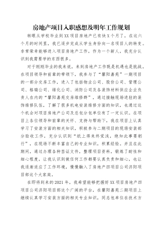 房地产项目入职感想及明年工作规划