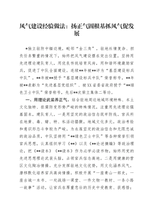 风气建设经验做法：扬正气固根基抓风气促发展—今日公文网65