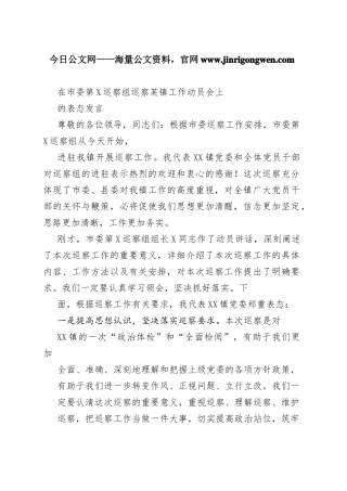 在市委第巡察组巡察某镇工作动员会上的表态发言9_1