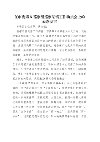 在市委第巡察组巡察某镇工作动员会上的表态发言