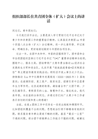组织部部长在共青团全体（扩大）会议上的讲话