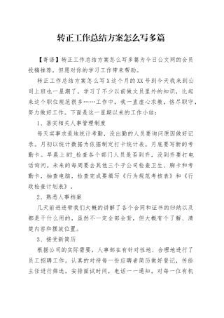 转正工作总结方案怎么写多篇