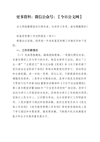 抓基层党建工作述职报告（审计）