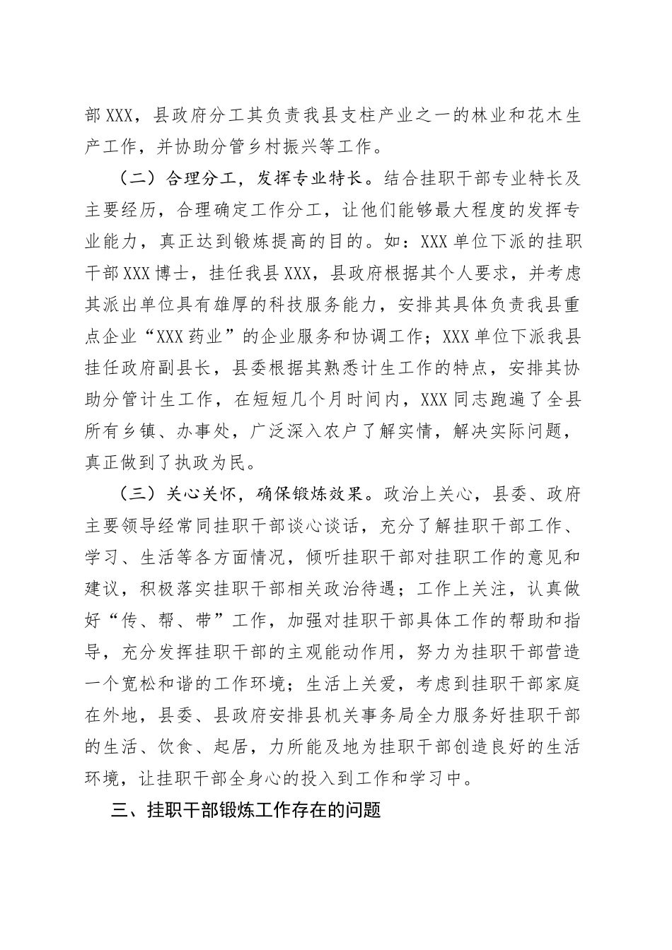 中青年干部下派挂职锻炼工作总结_第2页