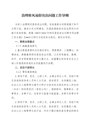 治理移风易俗突出问题工作导则013