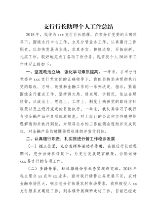 支行行长助理个人工作总结