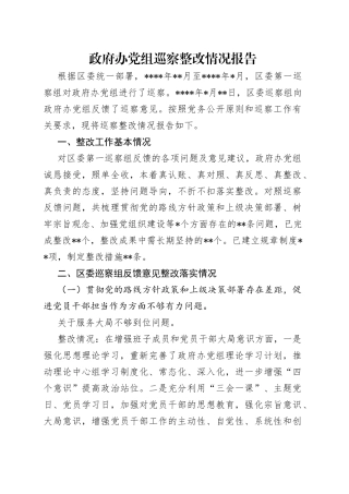 政府办党组巡察整改情况报告