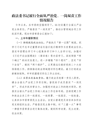 政法委书记履行全面从严治党、一岗双责工作情况报告