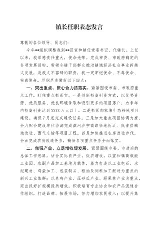 镇长任职表态发言