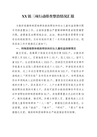 镇三项行动排查整治情况汇报96