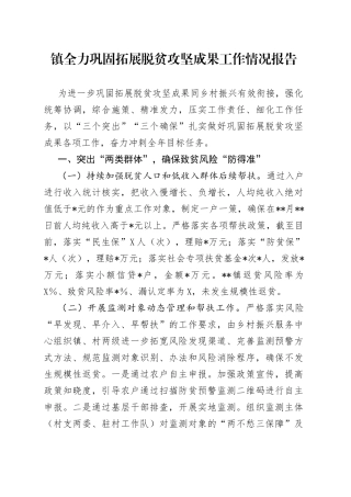 镇全力巩固拓展脱贫攻坚成果工作情况报告