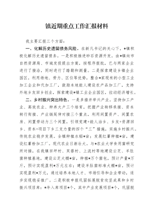 镇近期重点工作汇报材料62
