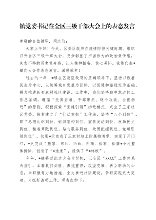 镇党委书记在全区三级干部大会上的表态发言