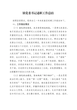 镇党委书记述职工作总结