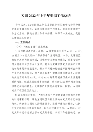 镇2022年上半年组织工作总结