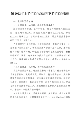 镇2022年上半年工作总结和下半年工作安排