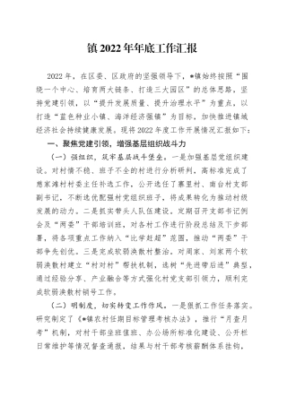 镇2022年年底工作汇报