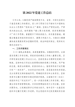 镇2022年党建工作总结026