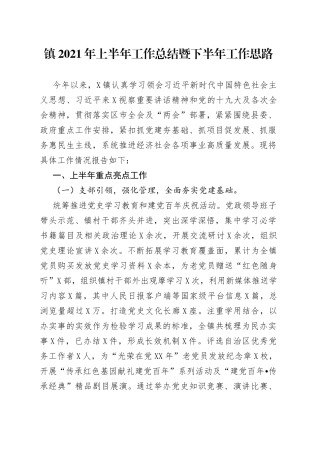 镇2021年上半年工作总结暨下半年工作思路