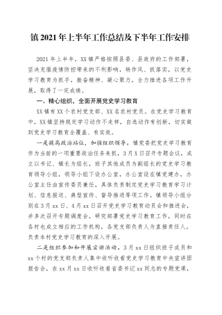 镇2021年上半年工作总结及下半年工作安排