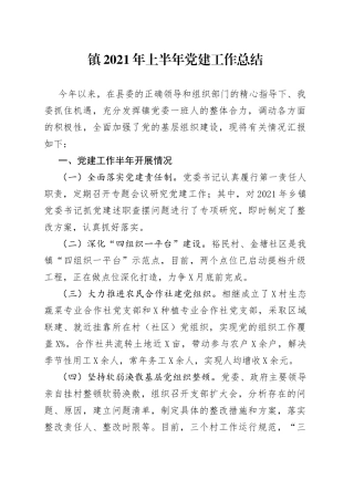 镇2021年上半年党建工作总结