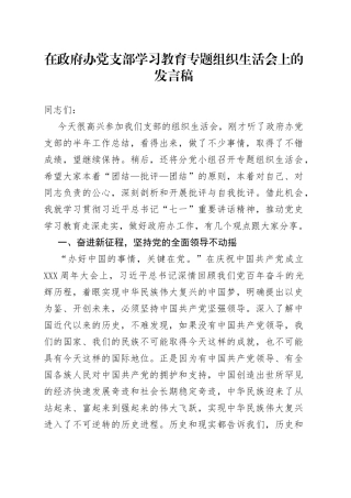 在政府办党支部学习教育专题组织生活会上的发言稿