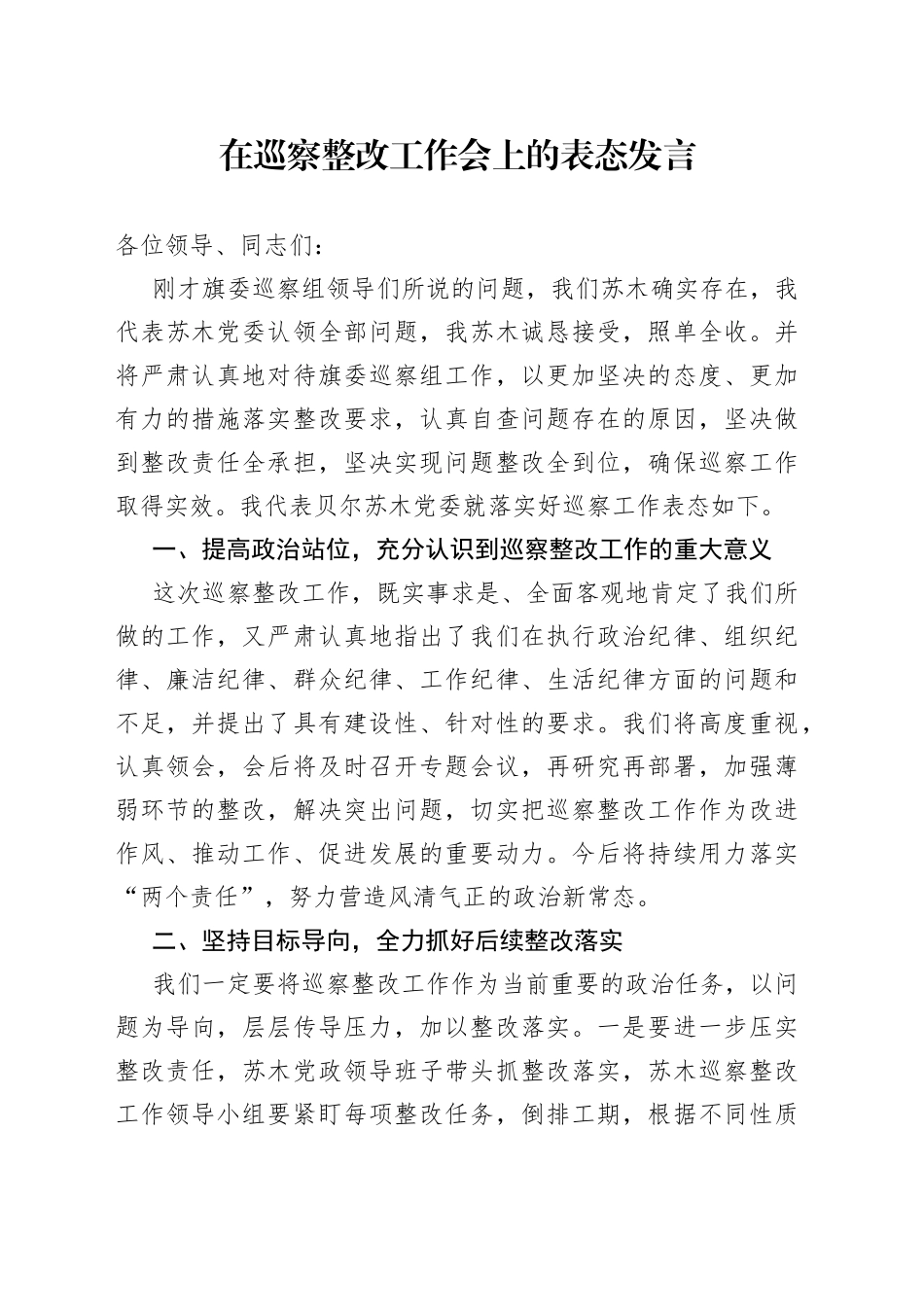 在巡察整改工作会上的表态发言_第1页