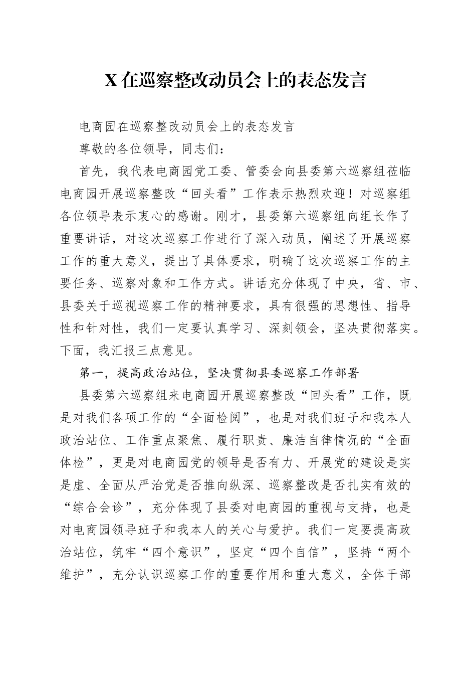 在巡察整改动员会上的表态发言_第1页